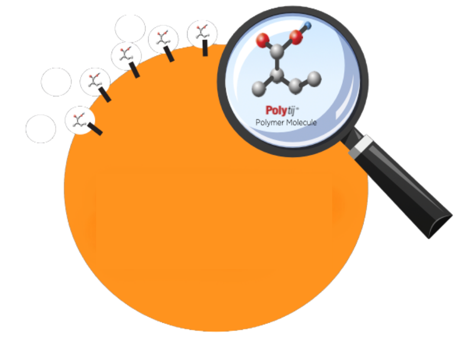 Your paragraph text 10