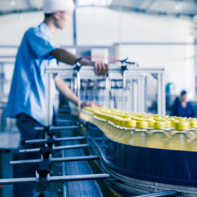 Packaging 2 e1754122750966